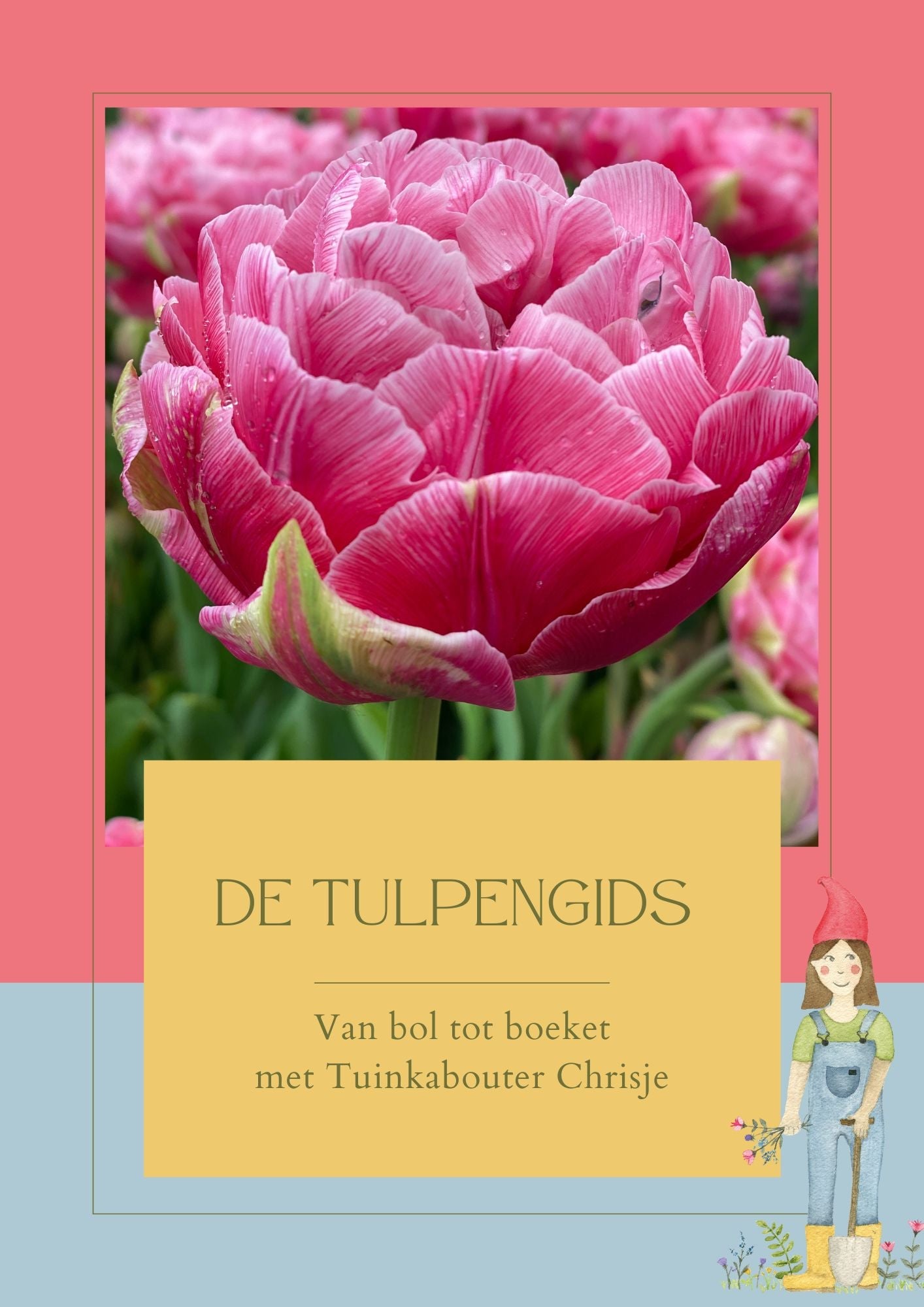 Gratis gids: Tulpengids - Van bol tot vaas - Tuinkabouter Chrisje