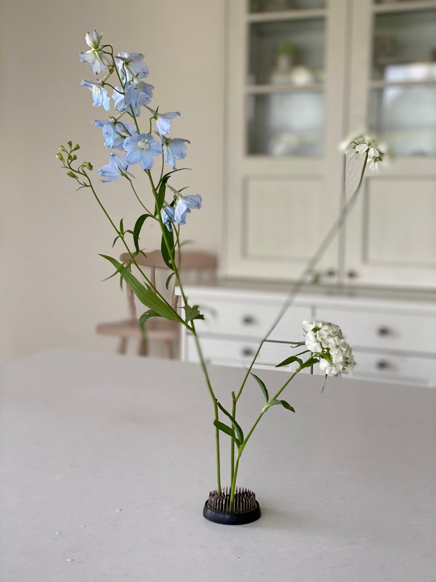 Kenzan - Blumenfrosch - Blumenstecker - groß