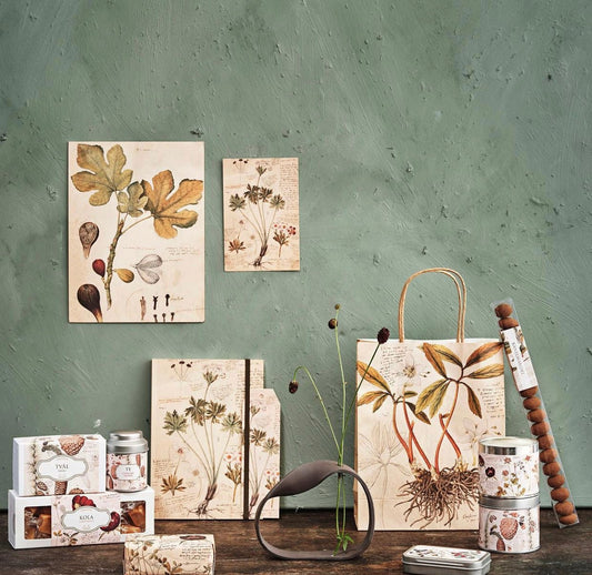 Print Vijg - Tuinkabouter Chrisje