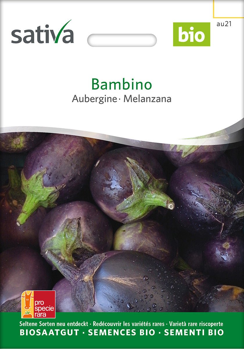 Aubergine ‘Bambino’ – Bio van Sativa - Tuinkabouter Chrisje