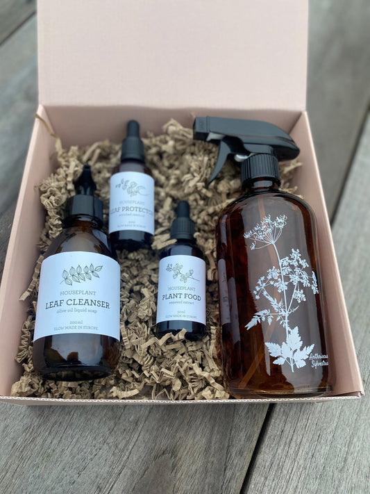 Cadeaubox kamerplantliefhebber - Tuinkabouter Chrisje