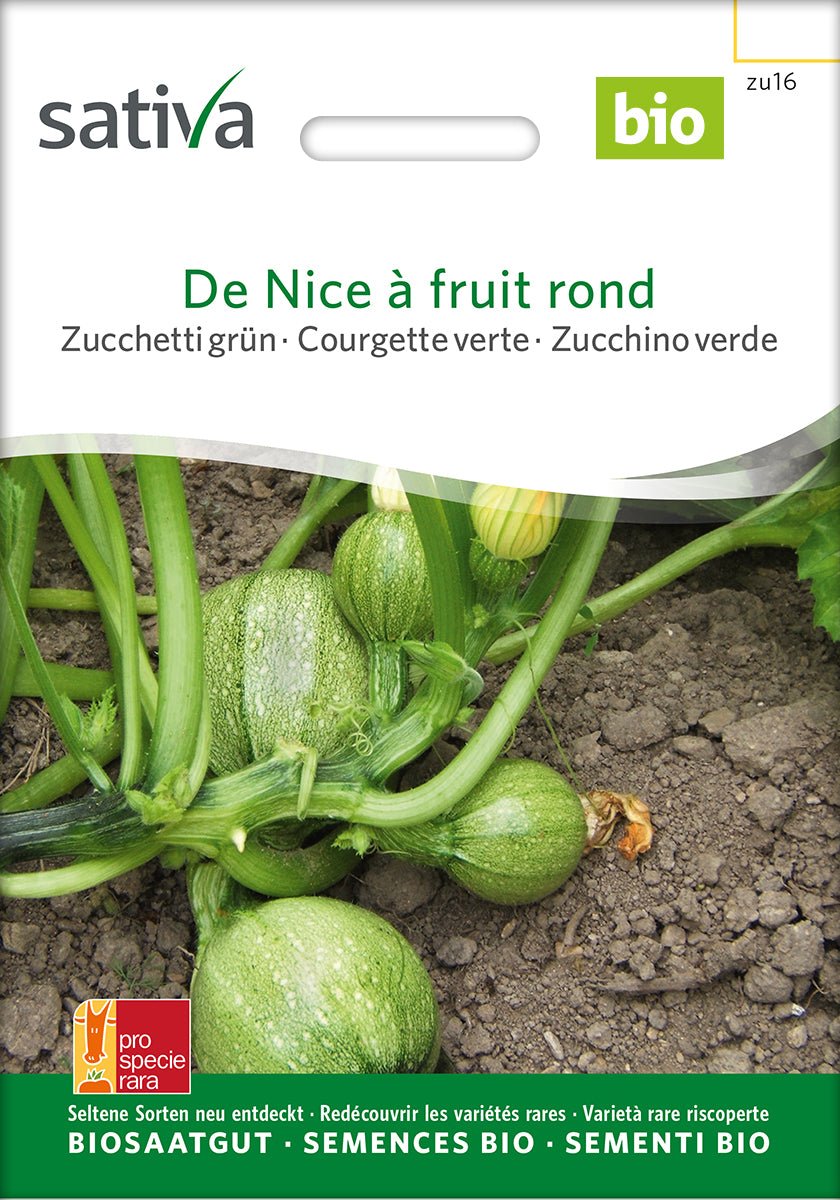Courgette ‘Tondo di Nizza - Bio van Sativa - Tuinkabouter Chrisje