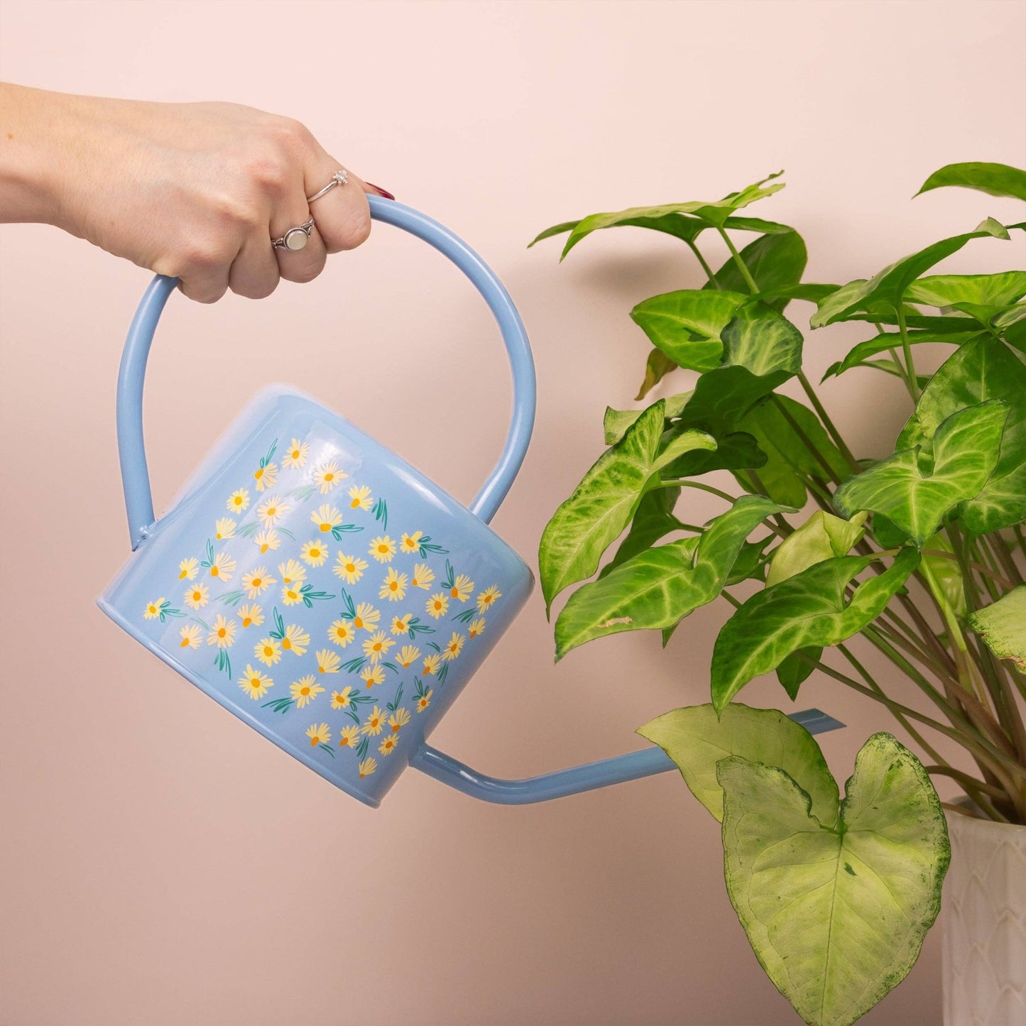 Gieter Daisy Blue – 1,2L | Stijlvolle binnen gieter met bloemenprint - Tuinkabouter Chrisje