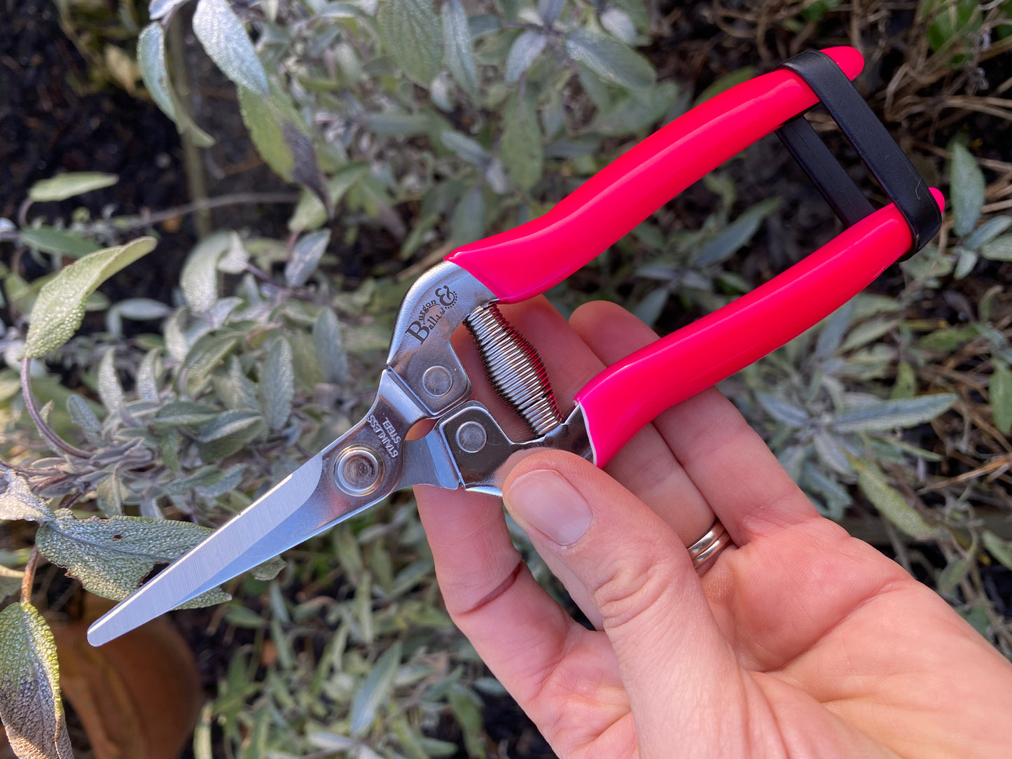 Fluorescent pink Florabrite flower scissors