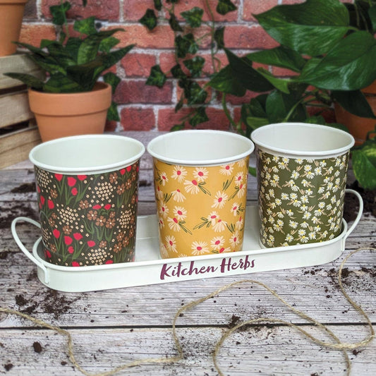 Kruidenpotjes met schaaltje – set van 3 - Tuinkabouter Chrisje