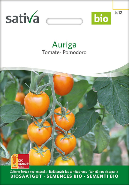 Tomaat Auriga - Bio van Sativa - Tuinkabouter Chrisje