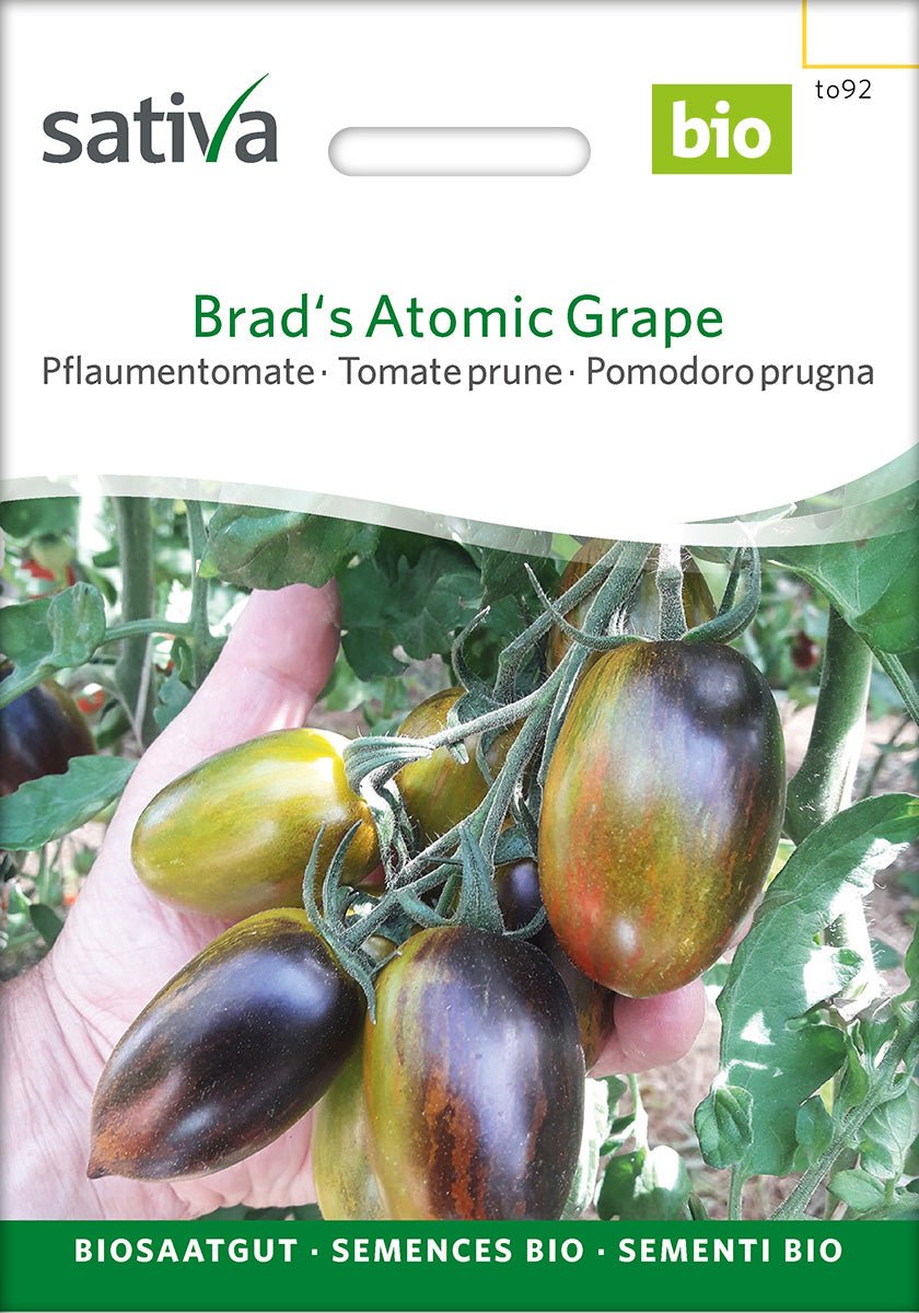 Tomaat ‘Brad’s Atomic Grape’ – Bio van Sativa - Tuinkabouter Chrisje