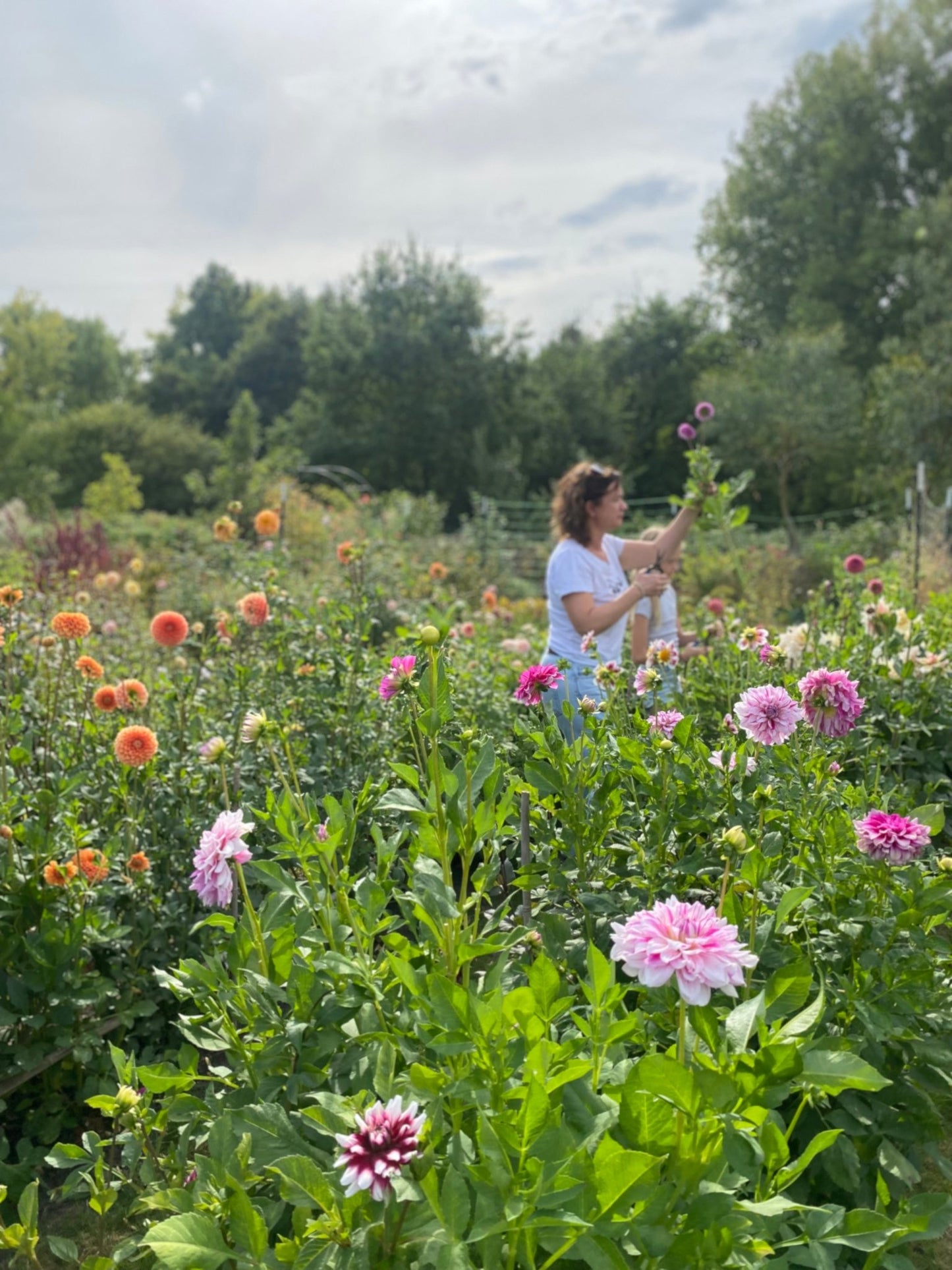 Workshop (Groot)ouder/ kind - Bloemen Oogsten en schikken in vaas - 2026 - Tuinkabouter Chrisje