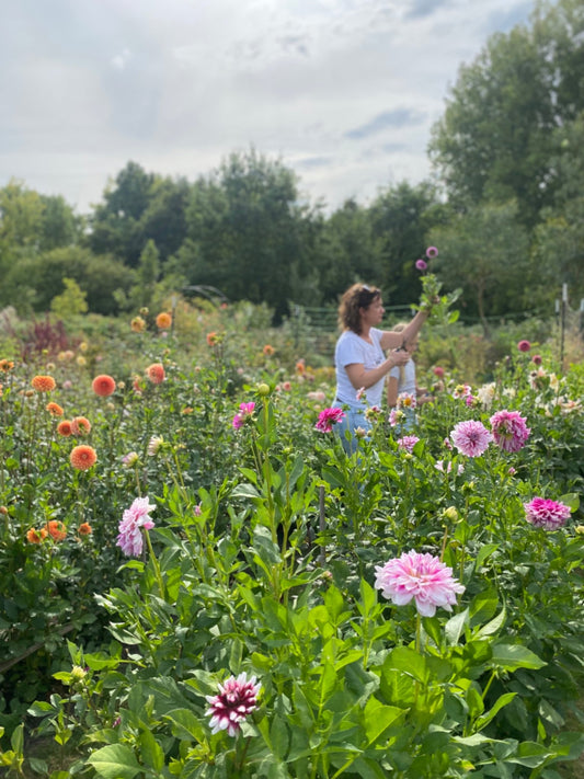 Workshop (Groot)ouder/ kind - Bloemen Oogsten en schikken in vaas - 2026 - Tuinkabouter Chrisje